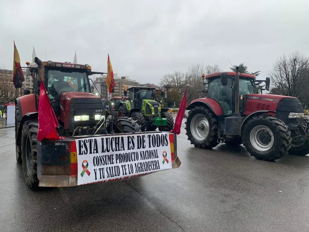 WhatsApp Image 2026-01-21 at 11.34.18 (13)