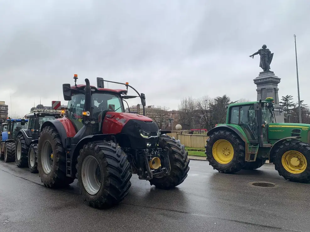 WhatsApp Image 2026-01-21 at 11.34.18 (12)