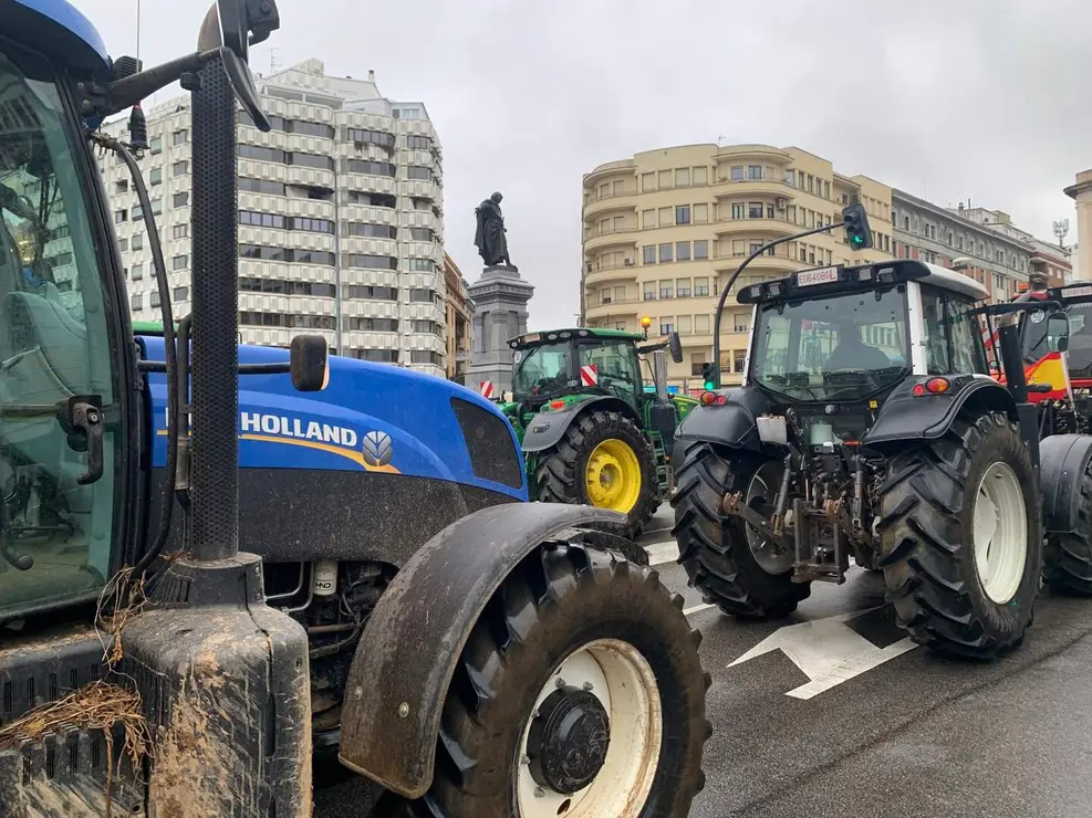 WhatsApp Image 2026-01-21 at 11.34.18 (11)