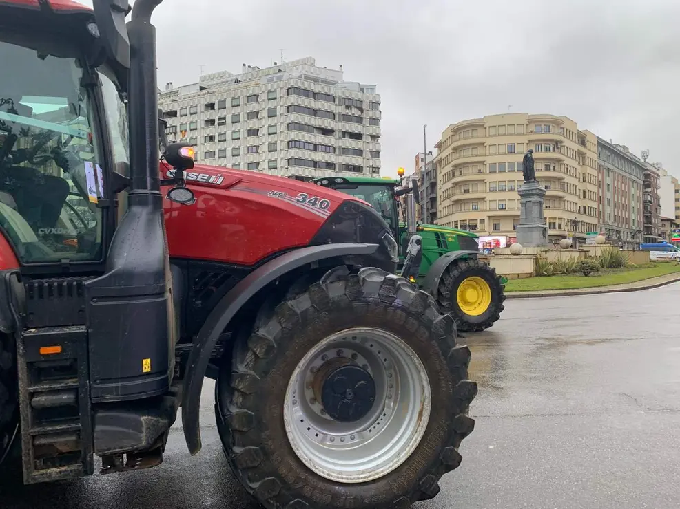 WhatsApp Image 2026-01-21 at 11.34.18 (8)