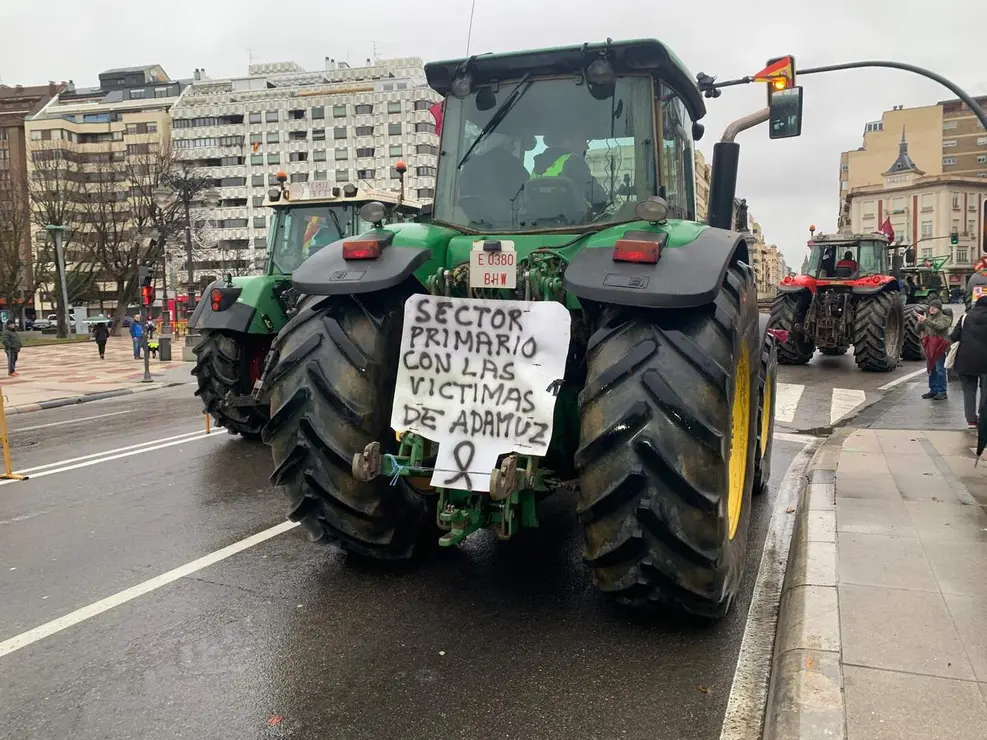 WhatsApp Image 2026-01-21 at 11.34.18 (6)