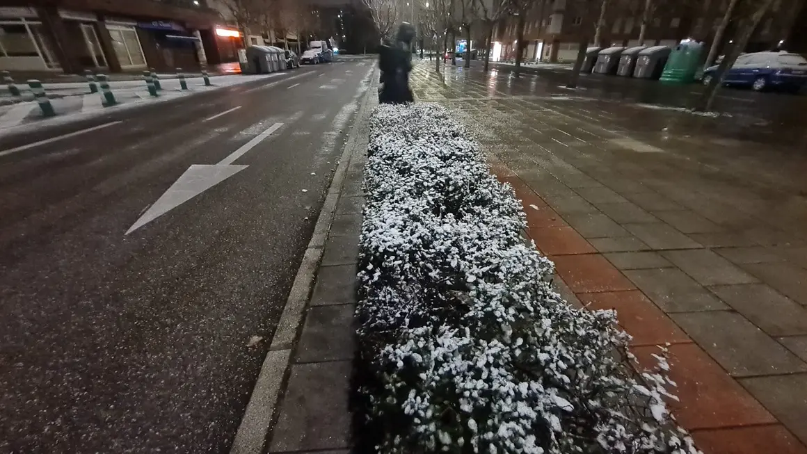 NIeve en Le&oacute;n (1)