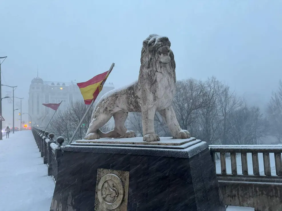 NIEVE EN lE&Oacute;N (3)