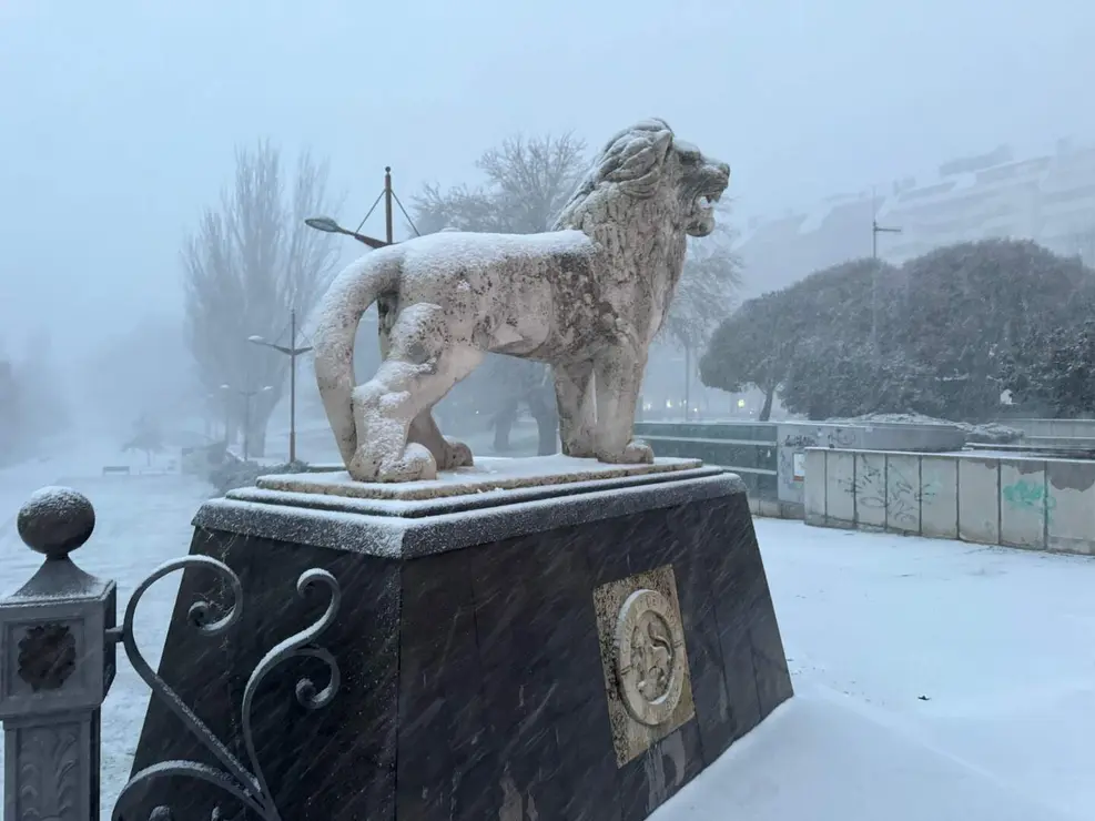 NIEVE EN lE&Oacute;N (7)