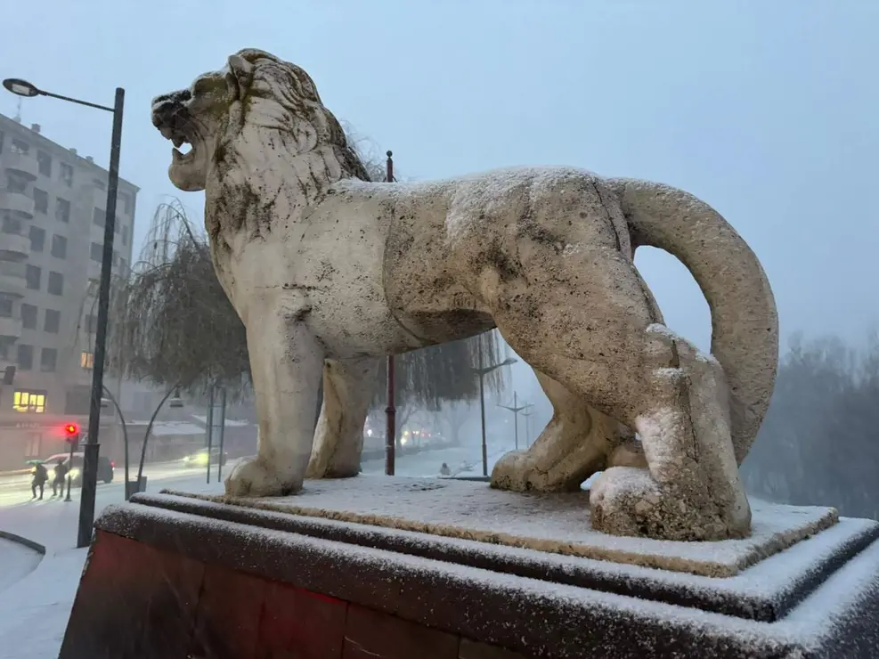 NIEVE EN lE&Oacute;N (10)