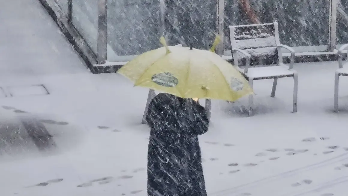 Nieve en Le&oacute;n (8)