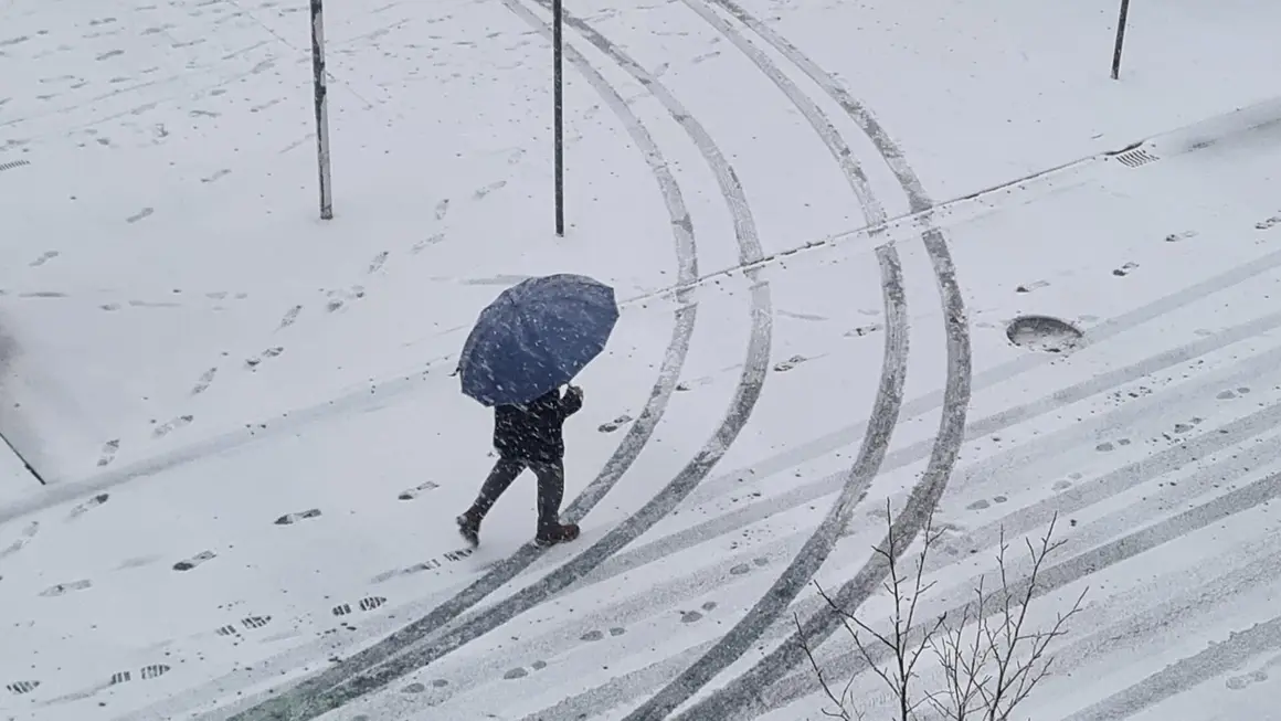 Nieve en Le&oacute;n (9)