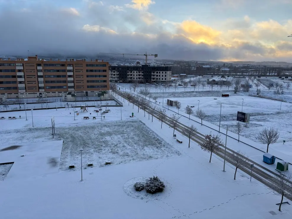 WhatsApp Image 2026-01-23 at 09.13.13 (1)