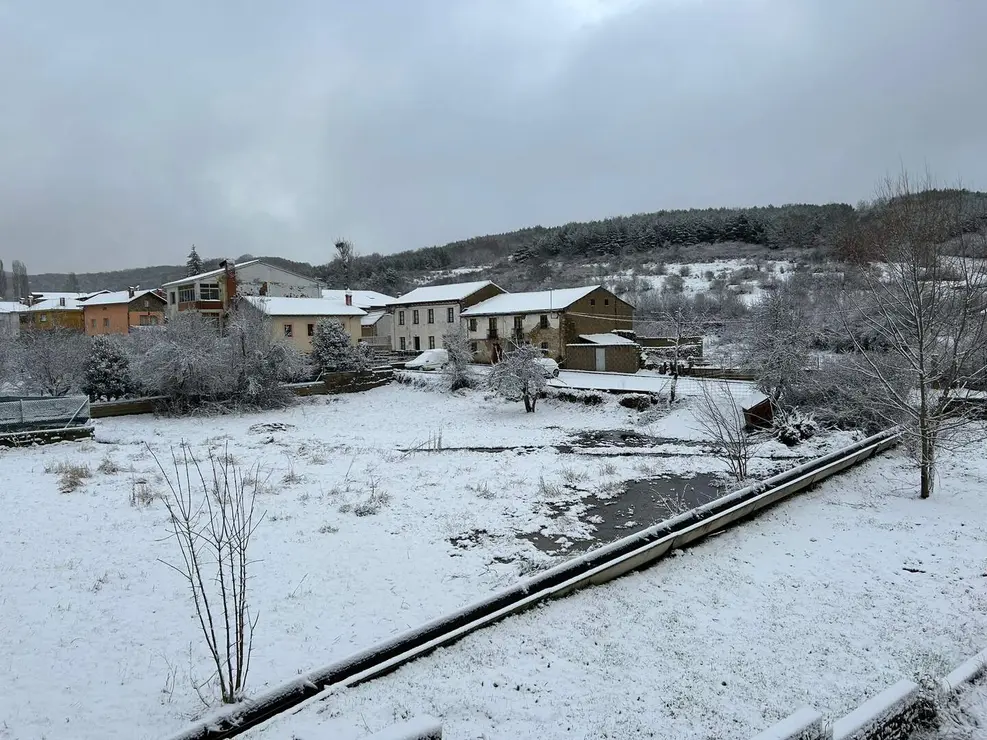 WhatsApp Image 2026-01-23 at 09.53.34 (1)