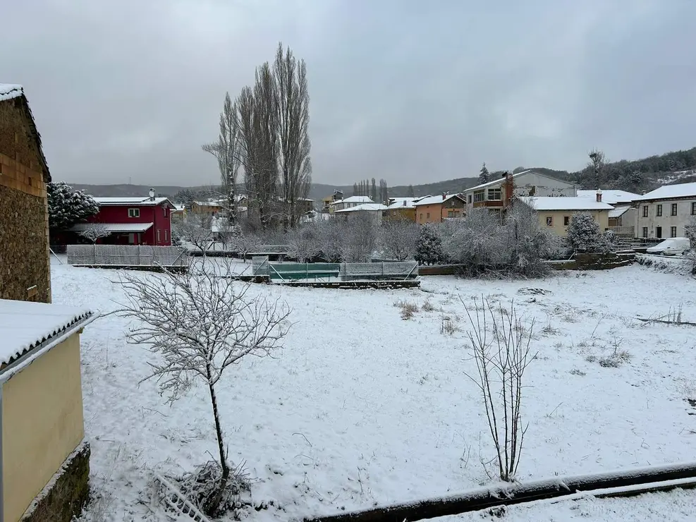 WhatsApp Image 2026-01-23 at 09.53.34