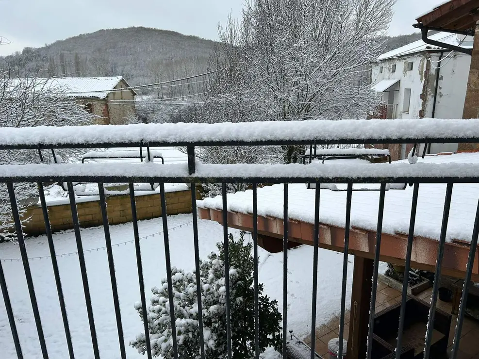 WhatsApp Image 2026-01-23 at 09.53.35 (1)