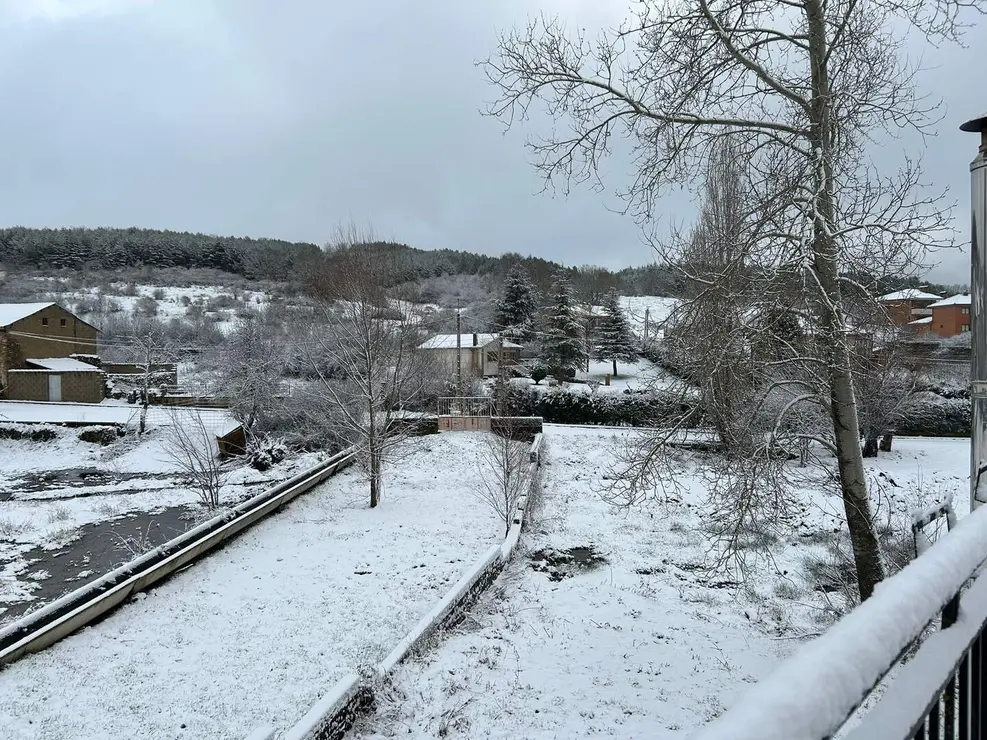 WhatsApp Image 2026-01-23 at 09.53.35