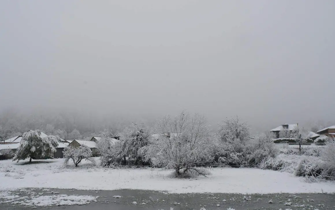 nieve Bierzo (12)