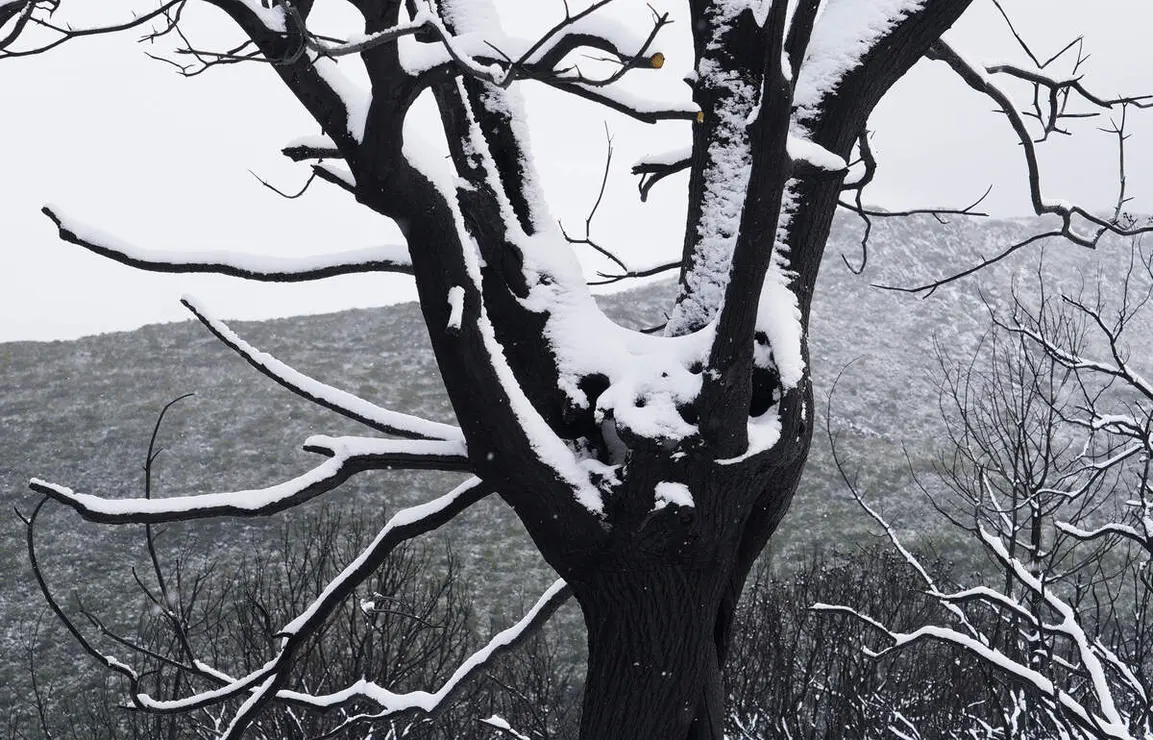 Temporal de nieve en el paraje natural de Las M&eacute;dulas (Le&oacute;n)