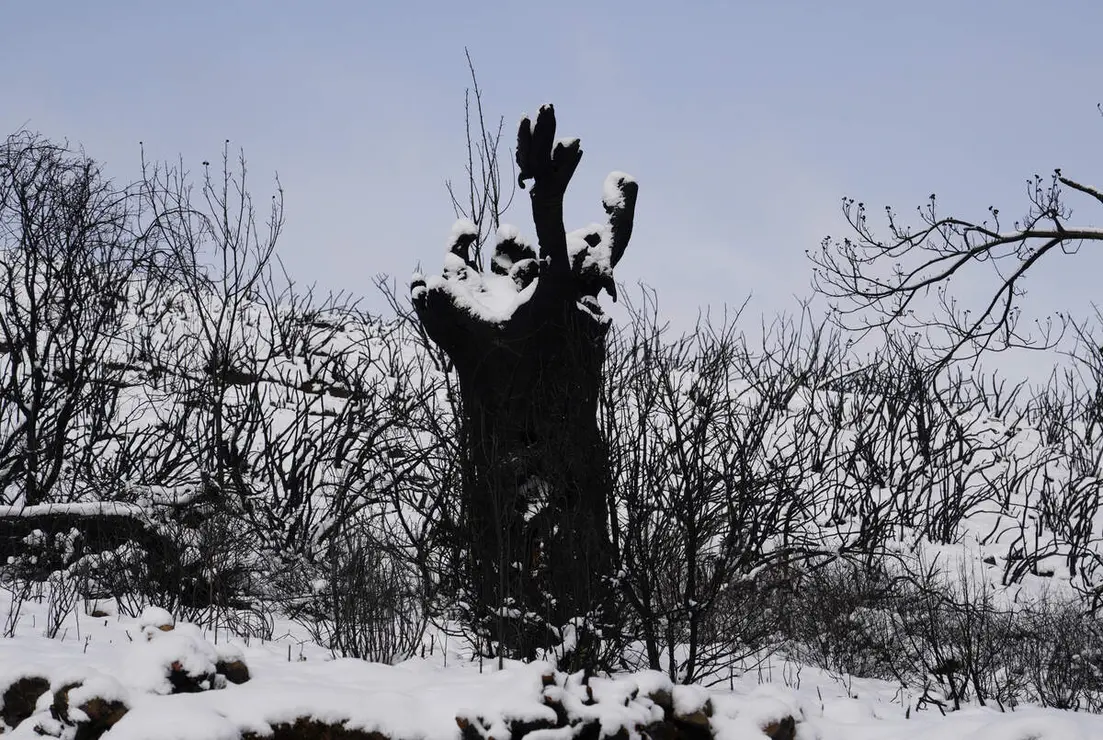 Temporal de nieve en el paraje natural de Las M&eacute;dulas (Le&oacute;n)
