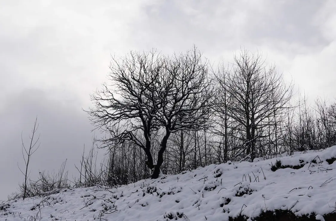 Temporal de nieve en el paraje natural de Las M&eacute;dulas (Le&oacute;n)