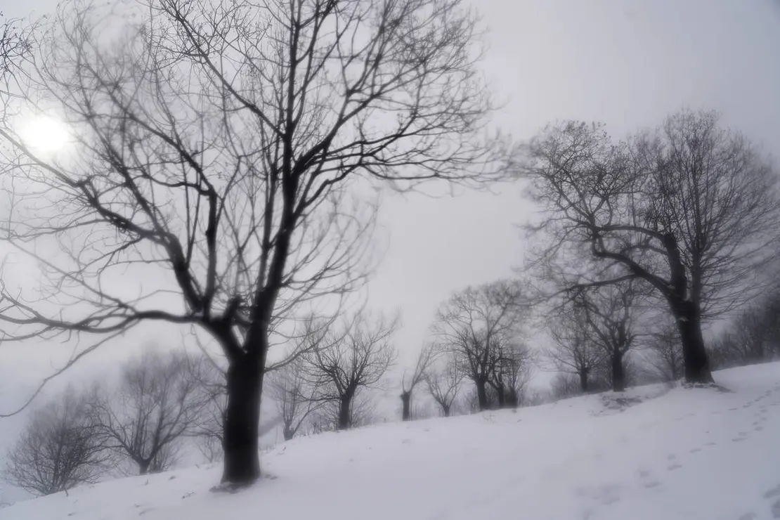 Temporal de nieve en el paraje natural de Las M&eacute;dulas (Le&oacute;n)