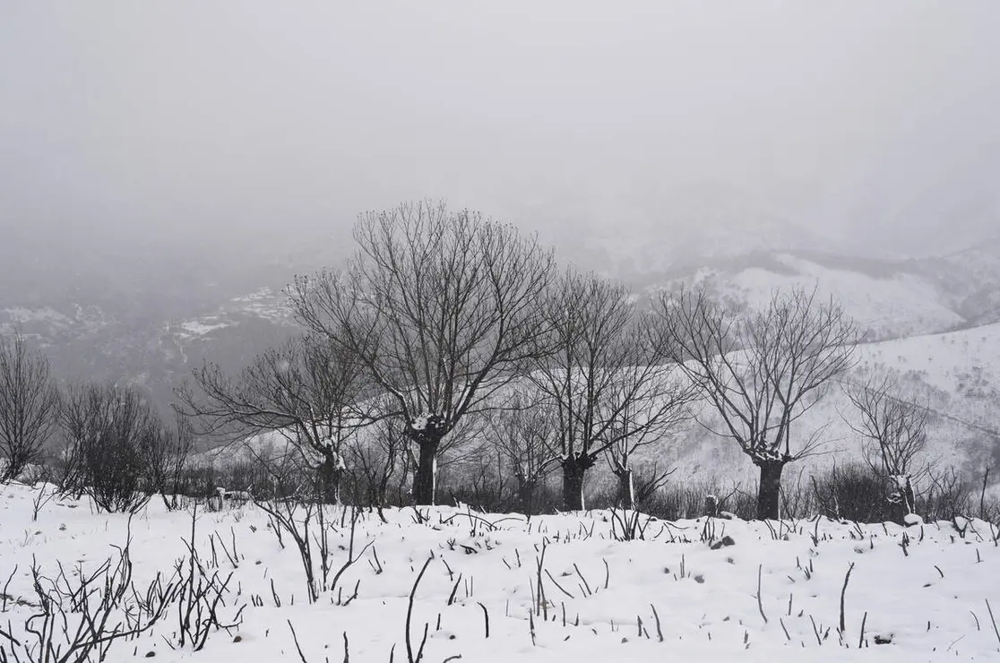 Temporal de nieve en el paraje natural de Las M&eacute;dulas (Le&oacute;n)