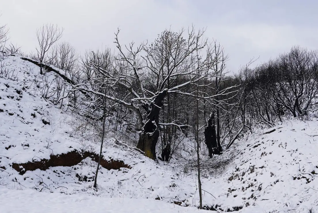 Temporal de nieve en el paraje natural de Las M&eacute;dulas (Le&oacute;n)