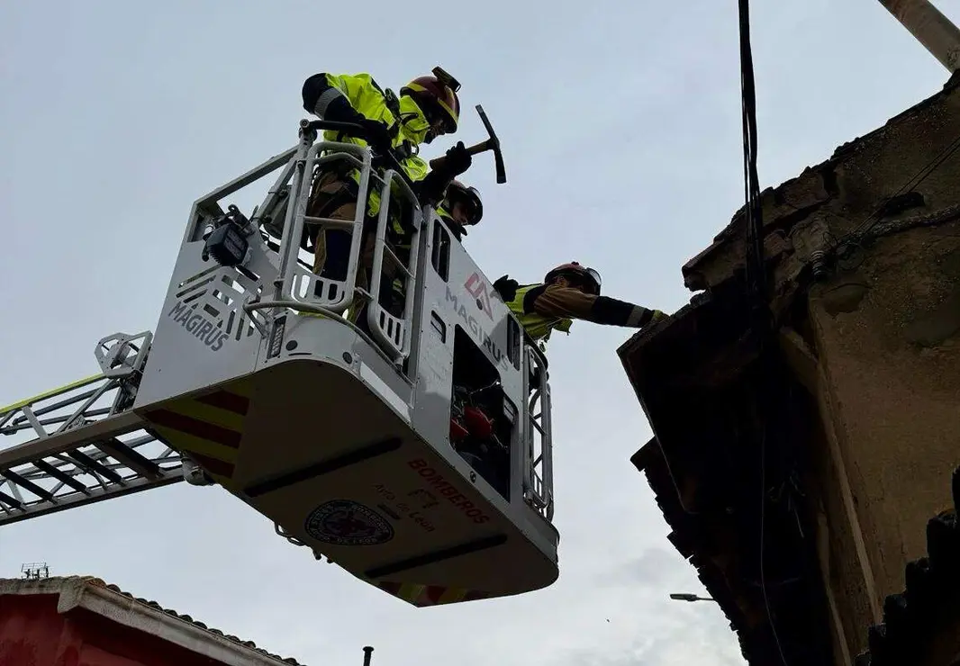 WhatsApp Image 2026-01-25 at 18.13.29 copia 4