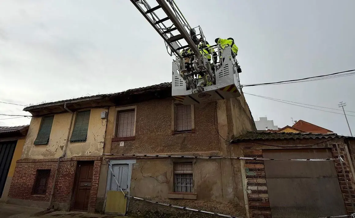 WhatsApp Image 2026-01-25 at 18.13.29 copia 3