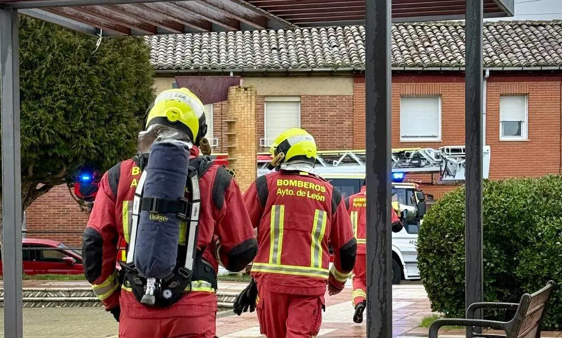 WhatsApp Image 2026-01-25 at 18.13.29 copia