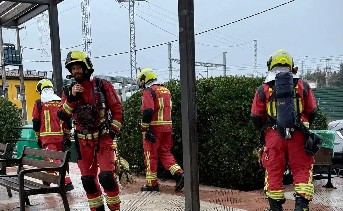 WhatsApp Image 2026-01-25 at 18.13.29