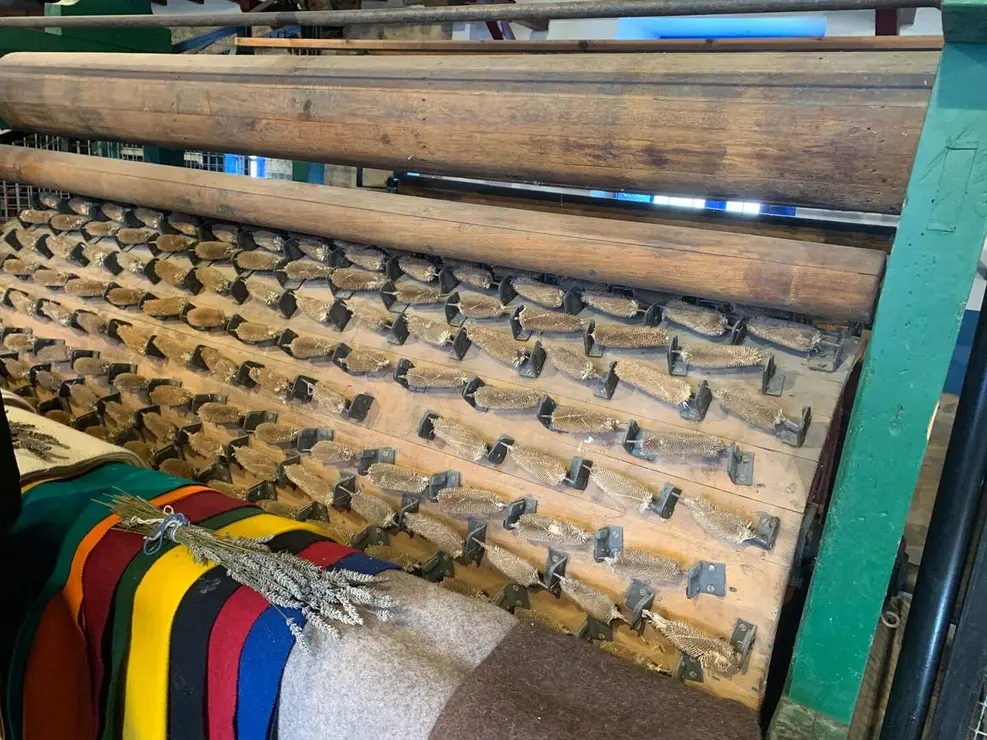 WhatsApp Image 2026-01-26 at 17.40.58