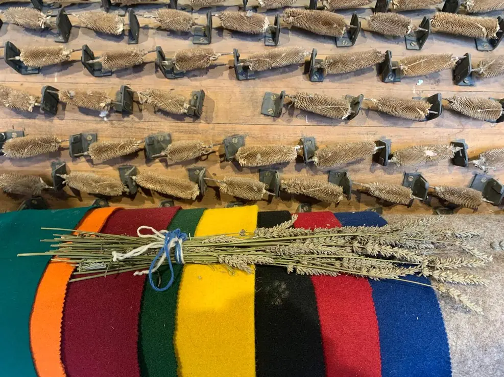 WhatsApp Image 2026-01-26 at 17.40.58 (1)