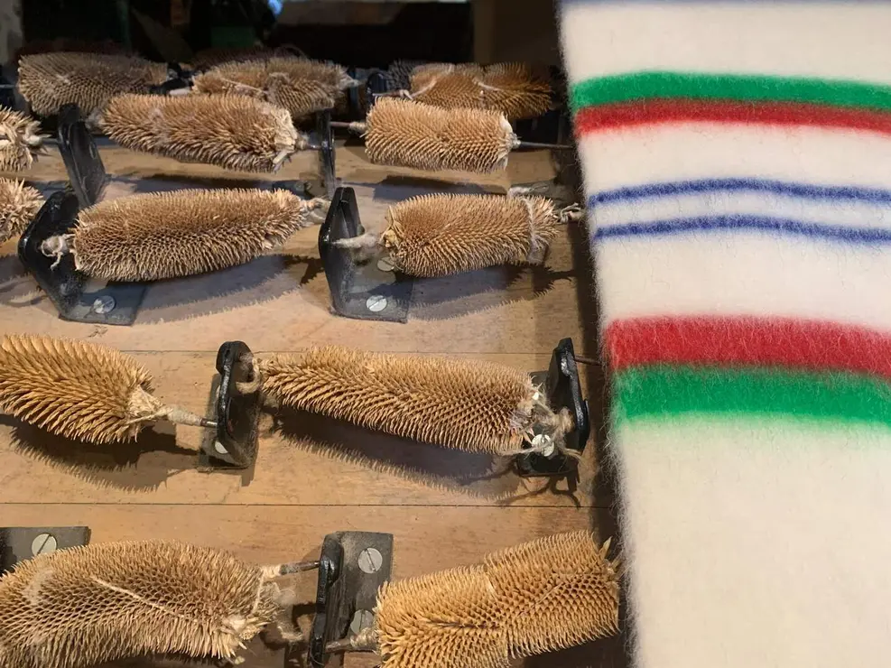 WhatsApp Image 2026-01-26 at 17.40.58 (4)