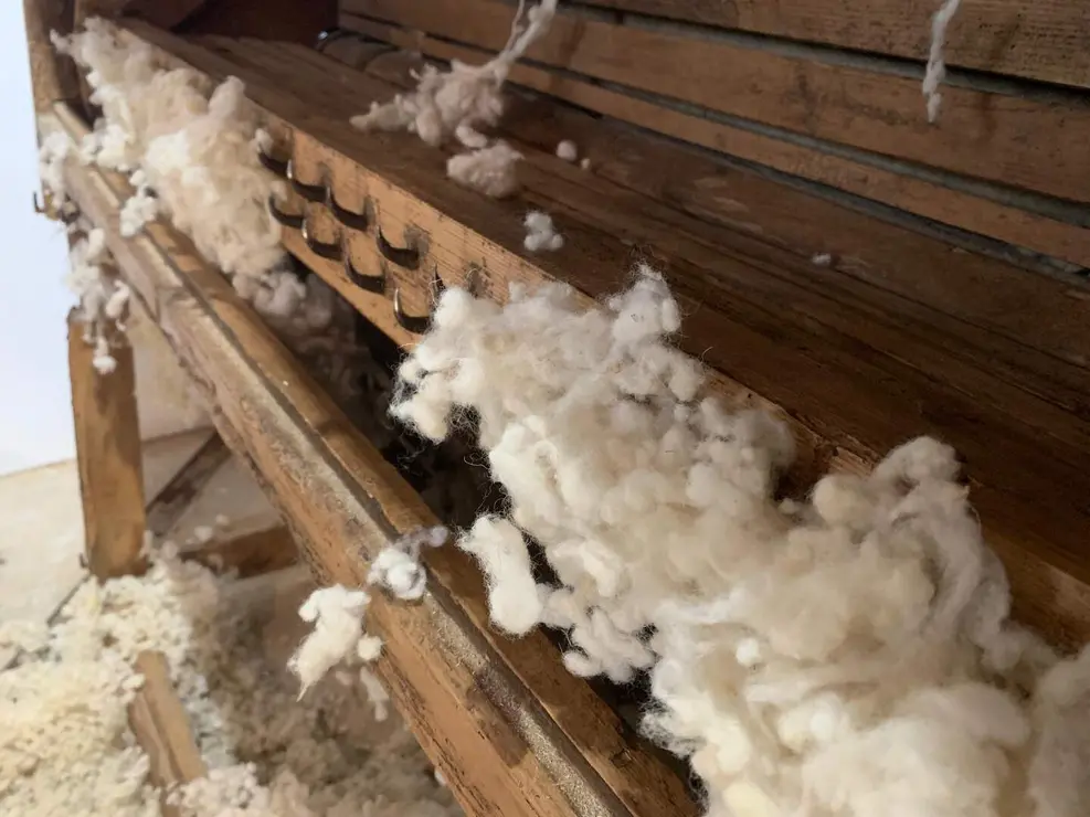 WhatsApp Image 2026-01-26 at 17.40.58 (8)