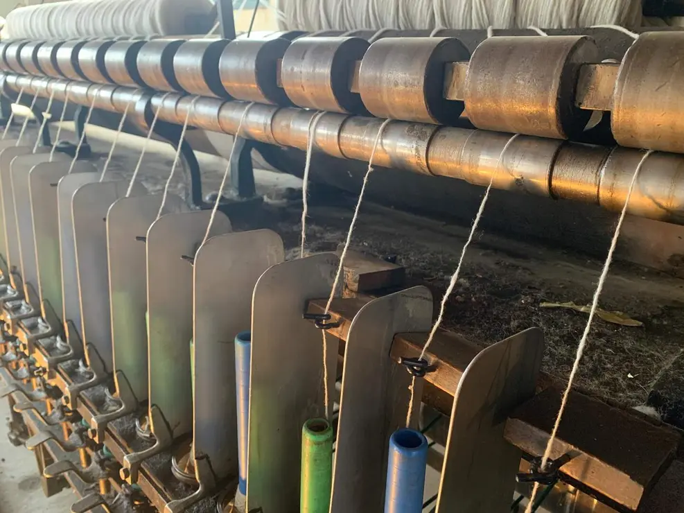 WhatsApp Image 2026-01-26 at 17.40.58 (11)