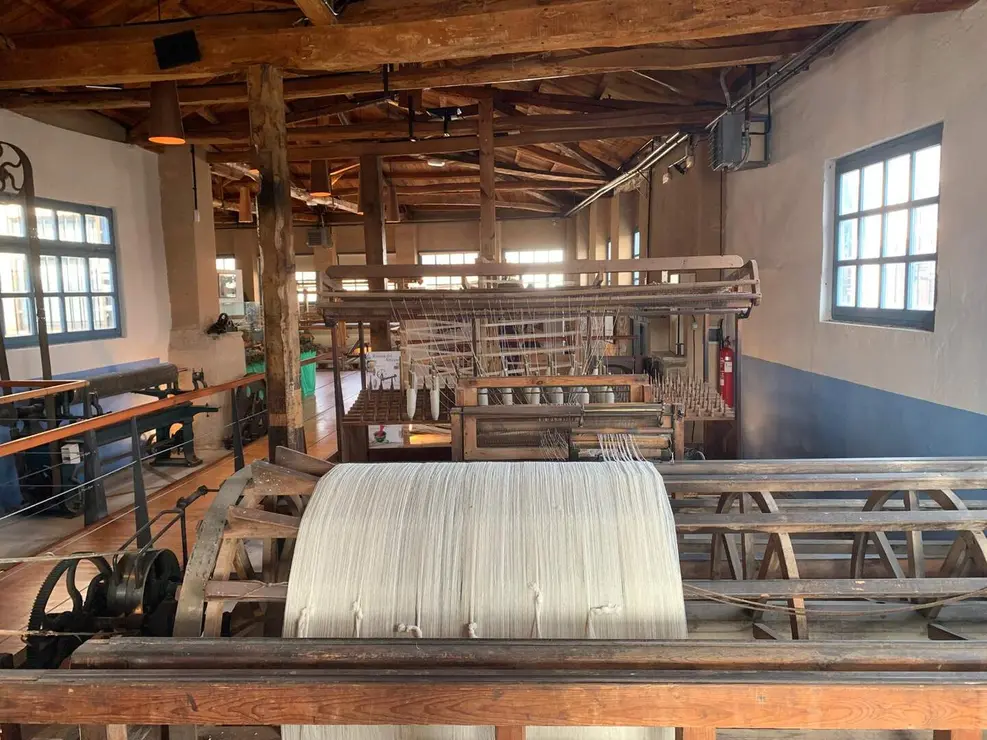 WhatsApp Image 2026-01-26 at 17.40.58 (12)