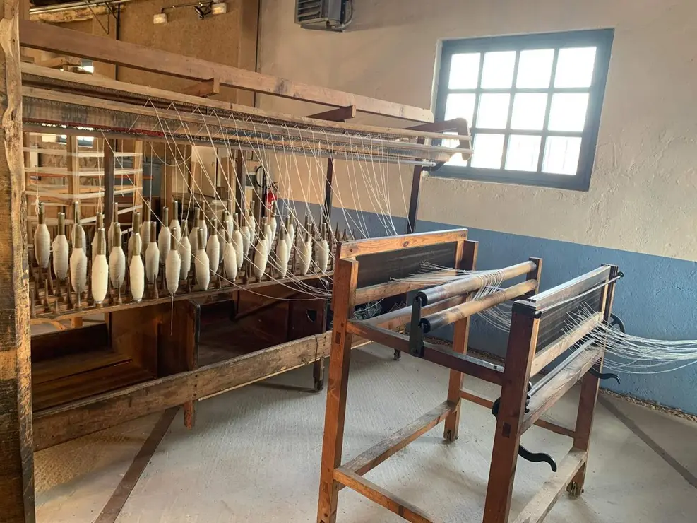 WhatsApp Image 2026-01-26 at 17.40.58 (15)