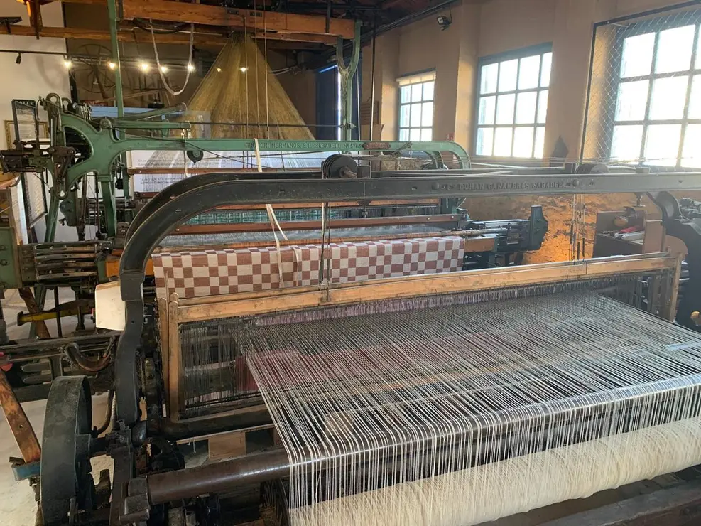 WhatsApp Image 2026-01-26 at 17.40.58 (17)