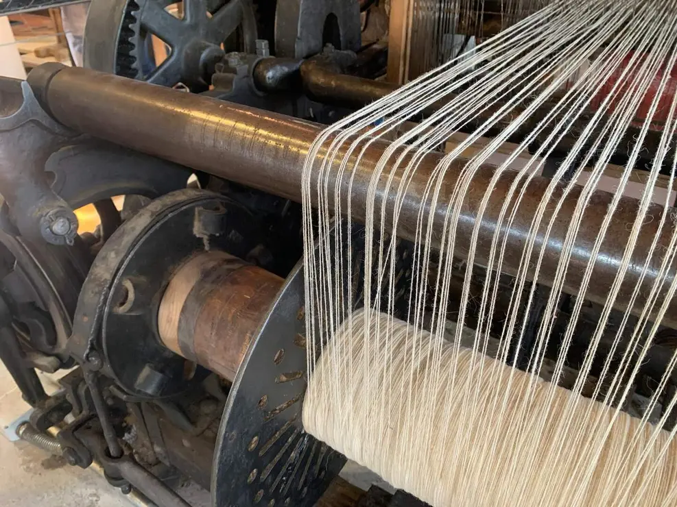 WhatsApp Image 2026-01-26 at 17.40.58 (19)