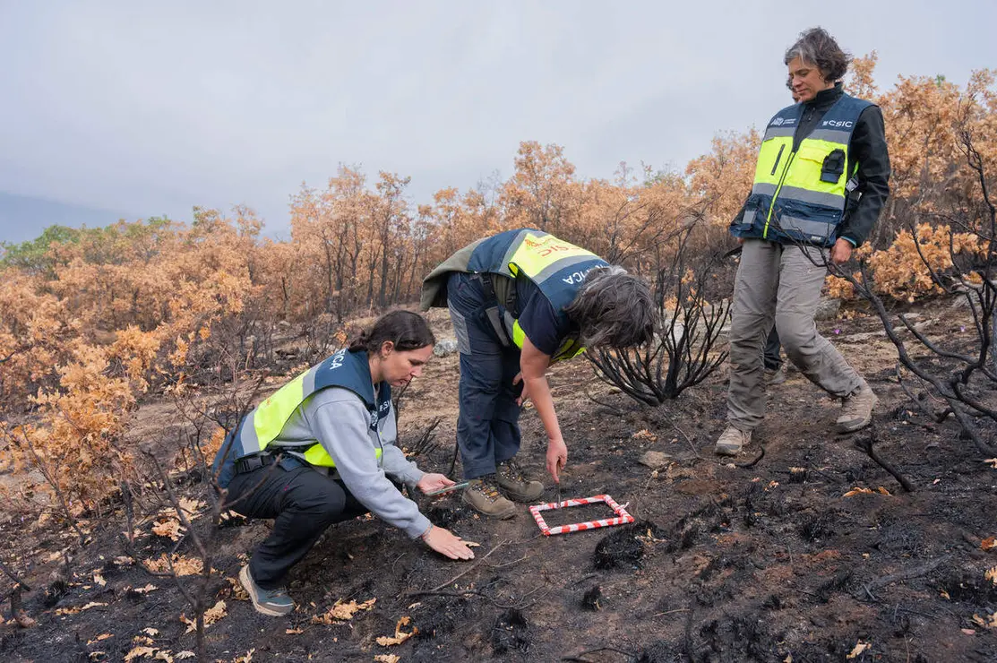 El CSIC documenta los da&ntilde;os ambientales y geol&oacute;gicos clave para la recuperaci&oacute;n postincendio de Las M&eacute;dulas