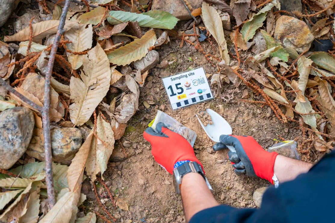 El CSIC documenta los da&ntilde;os ambientales y geol&oacute;gicos clave para la recuperaci&oacute;n postincendio de Las M&eacute;dulas