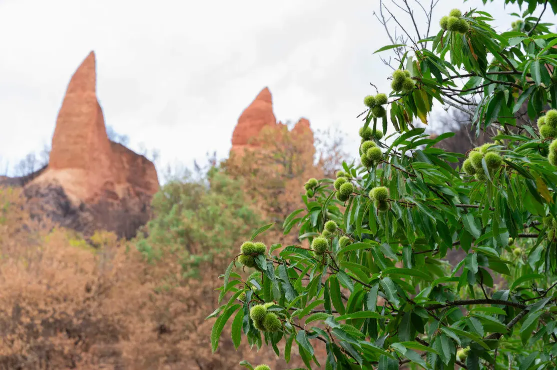 El CSIC documenta los da&ntilde;os ambientales y geol&oacute;gicos clave para la recuperaci&oacute;n postincendio de Las M&eacute;dulas