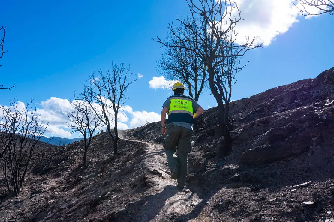 El CSIC documenta los da&ntilde;os ambientales y geol&oacute;gicos clave para la recuperaci&oacute;n postincendio de Las M&eacute;dulas