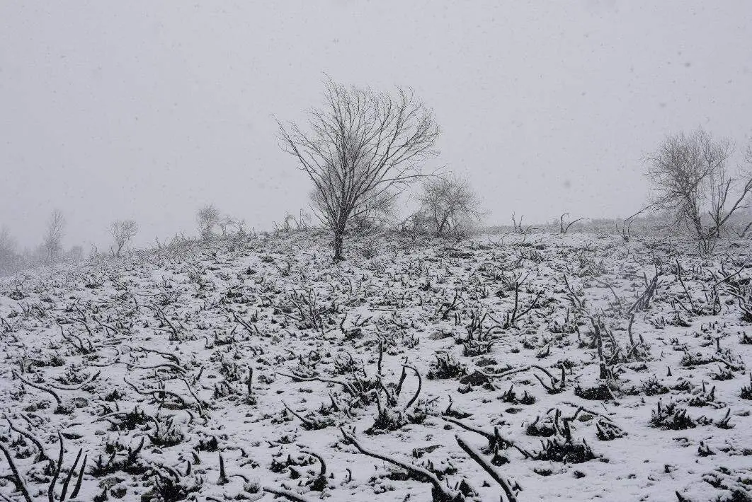 Nieve en Le&oacute;n (5)