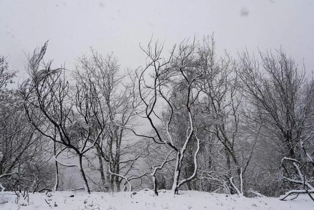Nieve en Le&oacute;n (6)