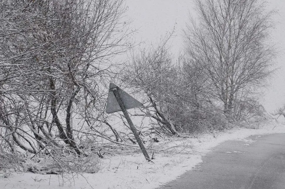 Nieve en Le&oacute;n (11)