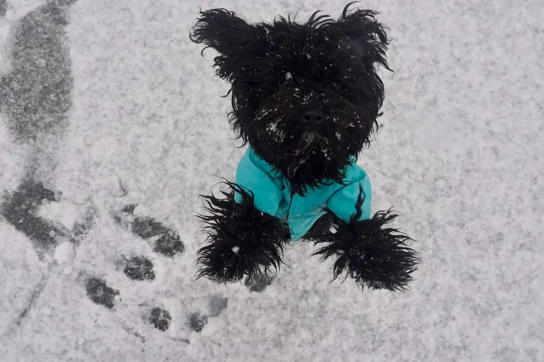 Nieve en Le&oacute;n (5)