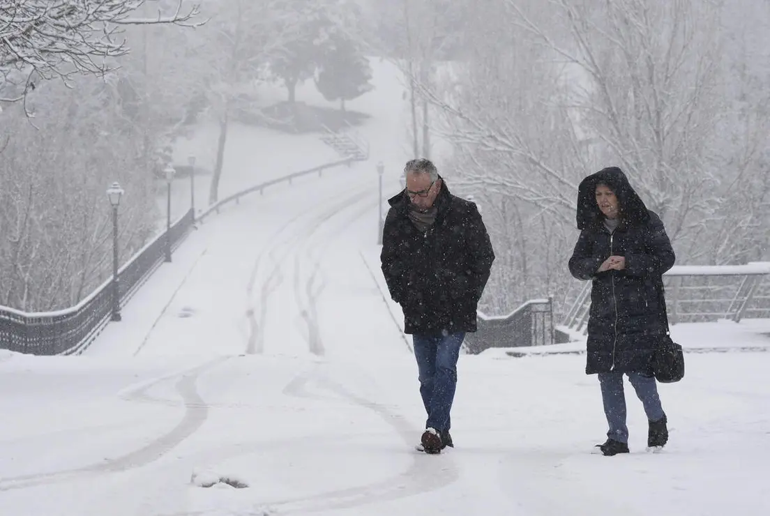 Temporal de nieve en El Bierzo