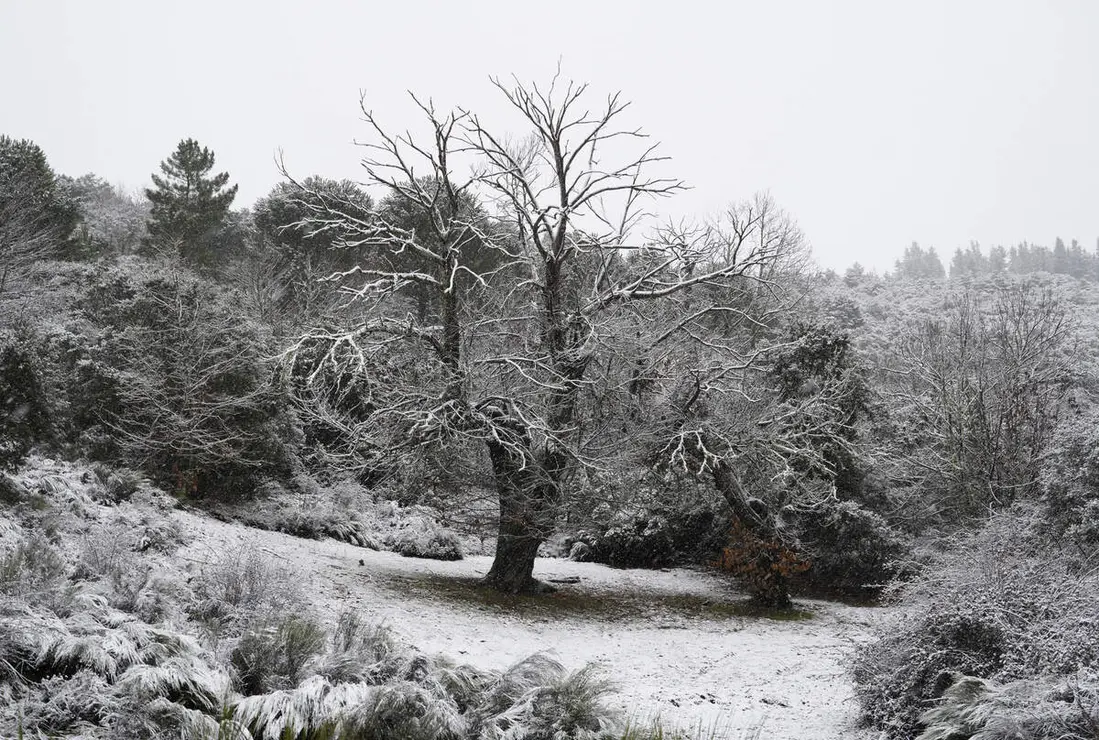 Temporal de nieve en El Bierzo