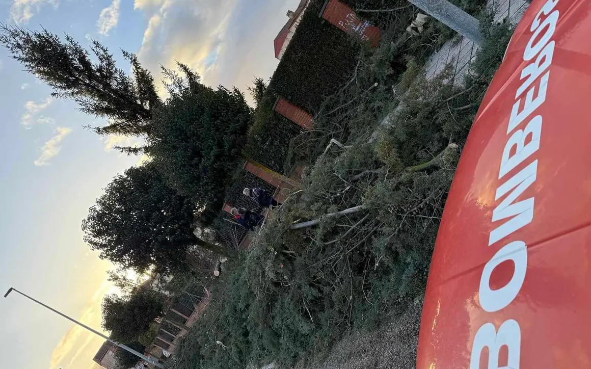 Bomberos Le&oacute;n (1)