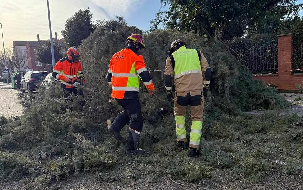 Bomberos Le&oacute;n (2)