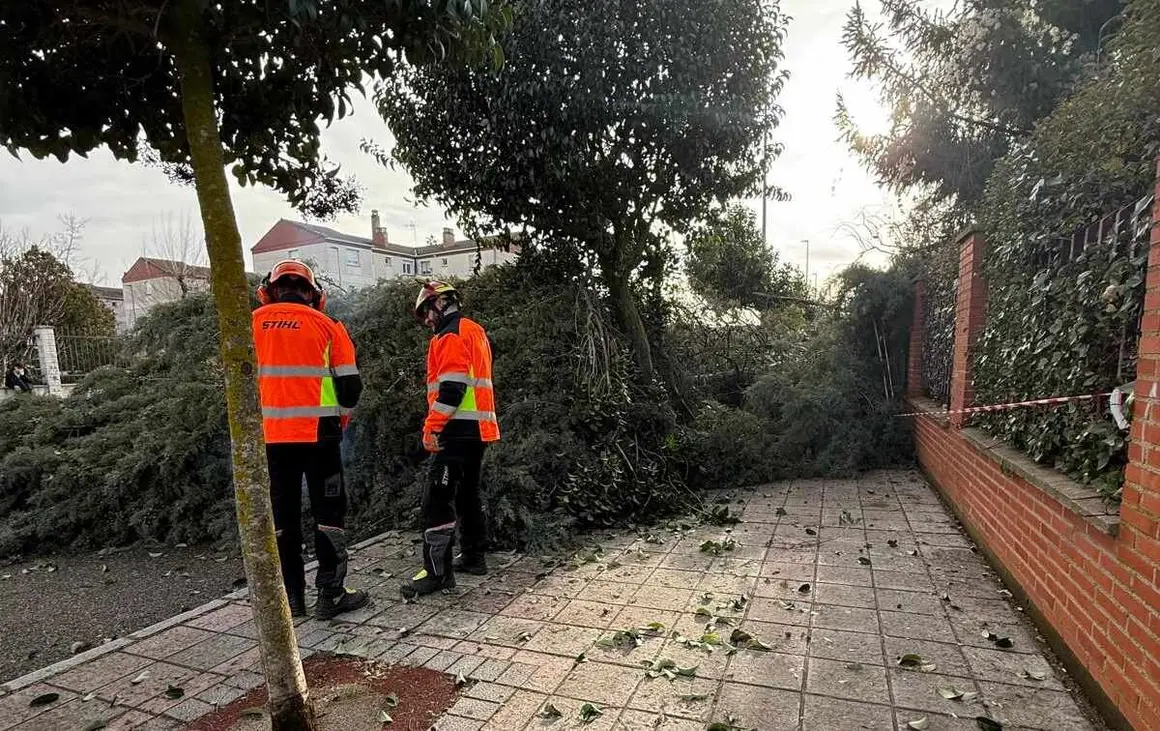 Bomeros Le&oacute;n (2)