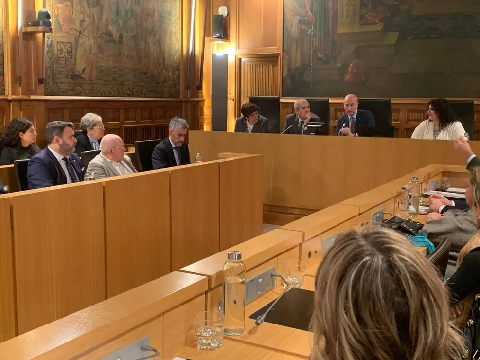 Pleno Ayuntamiento de Le&oacute;n (5)